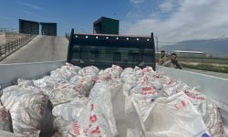 Ağrı'da 2 ton inci kefali ele geçirildi