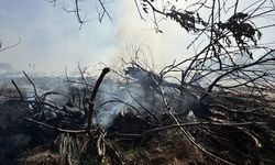 Antalya'da ormanlık ve sazlık alanda çıkan yangın söndürüldü