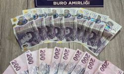 Bingöl'de hırsızlık zanlısı tutuklandı