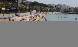 Denizseverler, Kuşadası ve Didim sahillerinde yoğunluk oluşturdu
