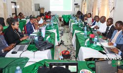 ECOWAS'ın, Nijerya'daki Dijital Gözlemevi yıllık toplantısı başladı