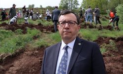 Erzurum'da TBMM'nin 105'inci yılı anısına 105 bin fidanın dikimine başlandı