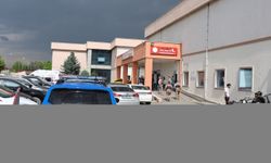 GÜNCELLEME - Iğdır'da bir kişi iki yengesini silahla öldürdü
