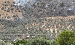 İzmir'de zeytinlik alanda çıkan yangın kontrol altına alındı