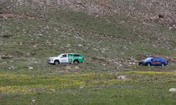 Jandarma ekipleri endemik bitkilerin korunması için görevde