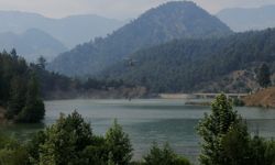 Kahramanmaraş'ta çıkan orman yangınına müdahale ediliyor