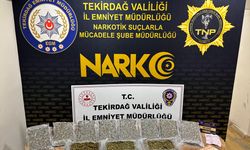 Tekirdağ'da uyuşturucu ele geçirilen tırın sürücüsü tutuklandı