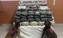 Van'da 90 kilo 608 gram uyuşturucu ele geçirildi
