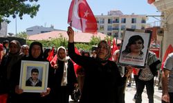 Vanlı aileler, DEM Parti İl Başkanlığı önündeki eylemlerini sürdürdü