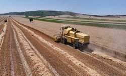 Edirne'de buğday üreticilerinin hasat mesaisi başladı