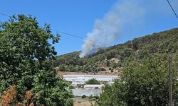 Antalya'da çıkan orman yangınına müdahale ediliyor