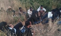 Aydın'da 16 düzensiz göçmen ile 1 insan kaçakçısı yakalandı