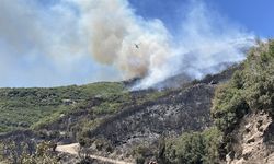 Aydın'da ziraat alanında çıkan yangın ormana sıçradı