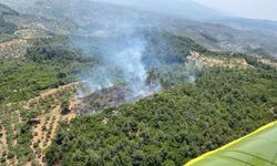 Aydın'ın Germencik ilçesinde ormanlık alanda çıkan yangın kontrol altında