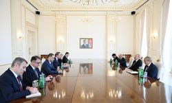 Azerbaycan Cumhurbaşkanı Aliyev, Enerji ve Tabii Kaynaklar Bakanı Bayraktar'ı kabul etti