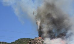 Bodrum'da çıkan orman yangınına müdahale ediliyor