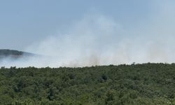 Bursa'da çıkan orman yangınına müdahale ediliyor
