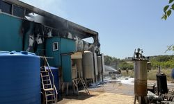 Çanakkale'de bir fabrikada patlama sonrası çıkan yangında 1 kişi yaralandı