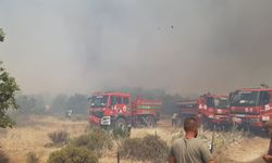 Çanakkale'de tarım arazisinde çıkan yangına havadan ve karadan müdahale ediliyor