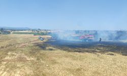 Çanakkale'de tarım arazisinde çıkan yangına müdahale ediliyor