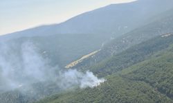 Denizli'nin Çivril ilçesinde orman yangını çıktı