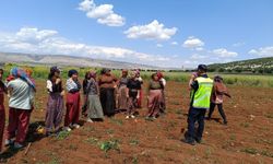 Gaziantep'te anız yangınlarına yönelik dron destekli denetim yapılıyor