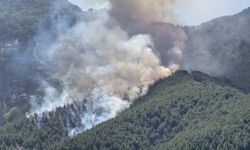 Hatay'da ormanlık alanda çıkan yangın kontrol altına alındı