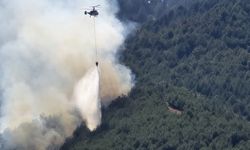 Hatay'da ormanlık alanda yangın çıktı