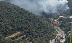 İzmir'de çıkan orman yangınına müdahale ediliyor