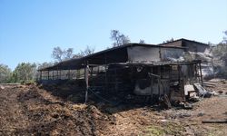 İzmir'de orman yangında ev ve ağılları kullanılamaz hale gelen mahalle sakinleri yaşadıklarını anlattı