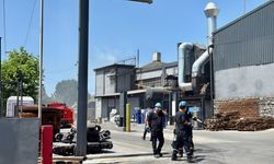 Kocaeli'de çelik döküm fabrikasında çıkan yangın söndürüldü