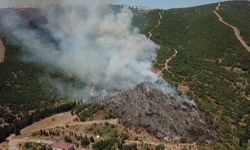 Kocaeli'de makilik ve ağaçlık alanda çıkan yangın kontrol altına alındı