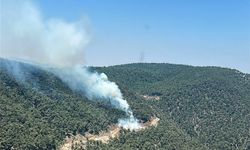 Manisa'da çıkan orman yangınına müdahale ediliyor