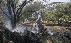 Muğla'da odunlukta başlayıp zeytinliğe sıçrayan yangın söndürüldü