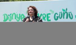 Plastik atıklar deniz canlılarını olumsuz etkiliyor