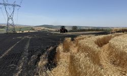Tekirdağ'da 340 dekar buğday ekili alan yandı