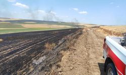 Tekirdağ'da tarlada çıkan yangında 70 dönüm buğday ekili alan yandı