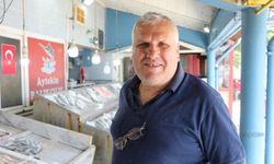 Tekirdağ'da tezgahın gözdesi sardalya