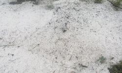 Tokat'ta dolu yağışı etkili oldu