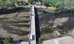 Tunca Nehri'nin bazı bölümlerinde kuraklık nedeniyle su akışı durma noktasına geldi