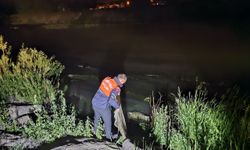 Van'da kaçak avlanan 1 ton 970 kilogram inci kefali ele geçirildi