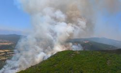 Bursa'da çıkan orman yangınına müdahale ediliyor