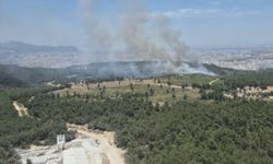 İzmir'in Buca ilçesinde çıkan orman yangınına müdahale ediliyor