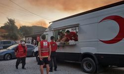 Türk Kızılaydan orman yangınlarından etkilenenlere kumanya desteği