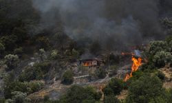 İzmir'in Ödemiş ilçesindeki orman yangınına müdahale sürüyor