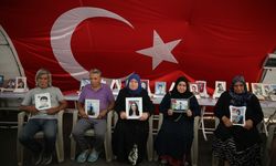 Diyarbakır anneleri, terör örgütü PKK'dan bir grubun silahlarını imha etmesinden memnun