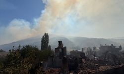 Sakarya'da çıkan orman yangınına müdahale sürüyor