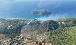 Muğla'da çıkan orman yangınına müdahale ediliyor