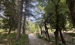 Türkiye'nin ilk arboretumu 66 tür ağaca ev sahipliği yapıyor