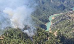 Adana'da ormanlık alanda yangın çıktı